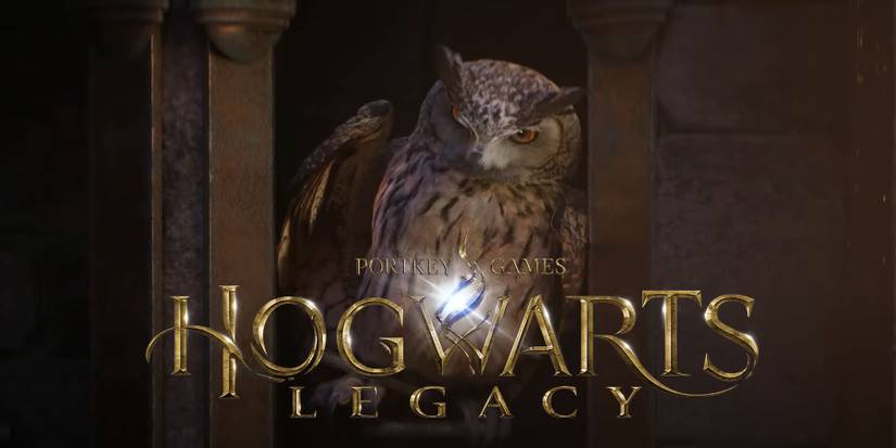 Hogwarts Legacy Feature