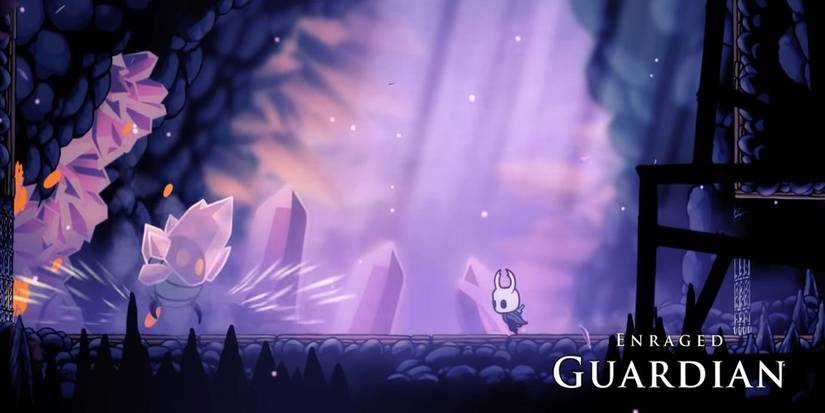 Hollow Knight - Encountering The Enraged Guardian
