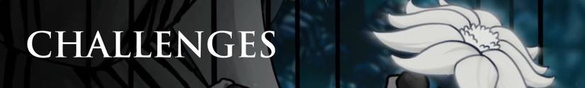 Hollow Knight Quests and Challenges Page Break