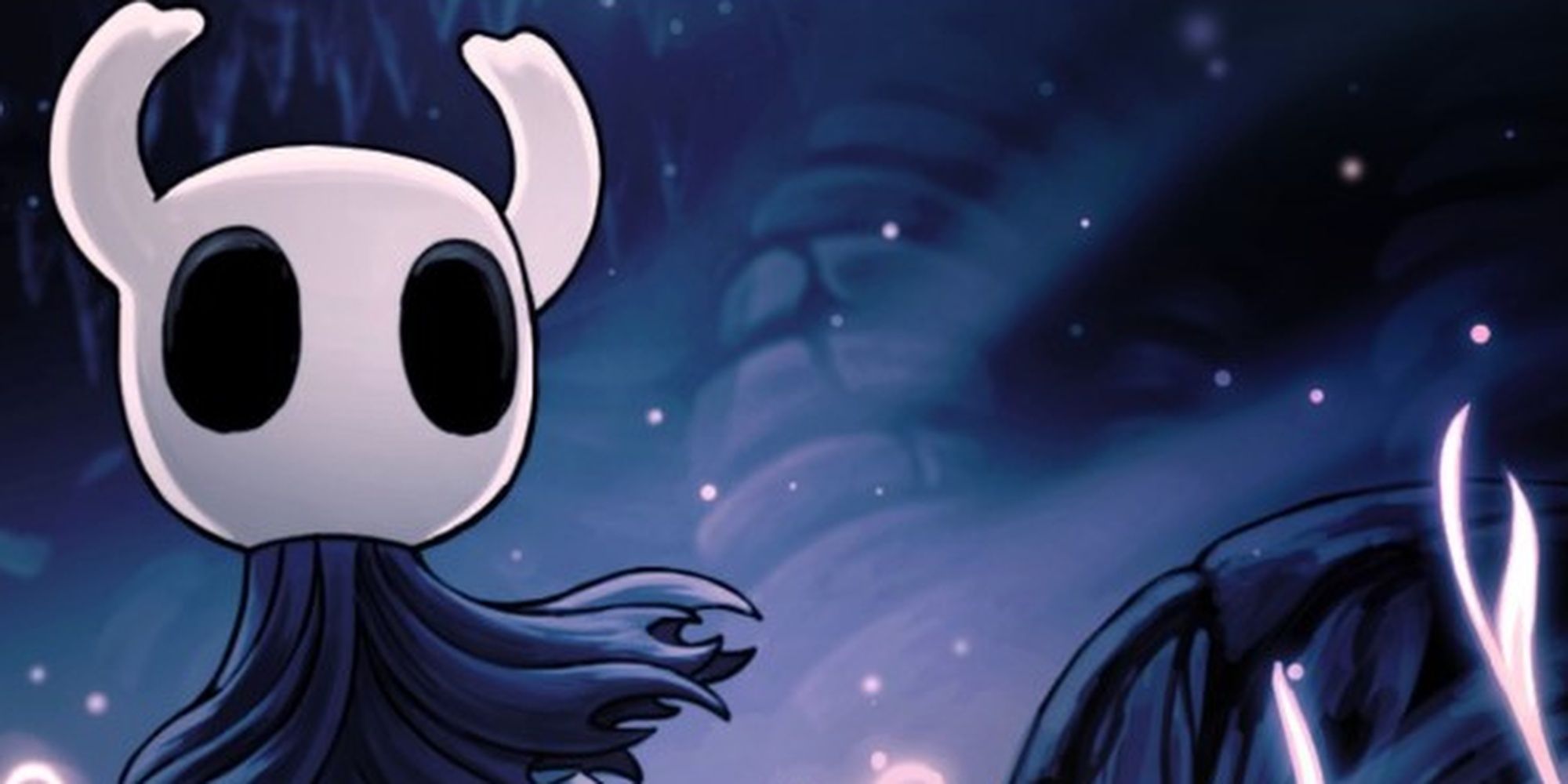 Hollow Knight Knight picture