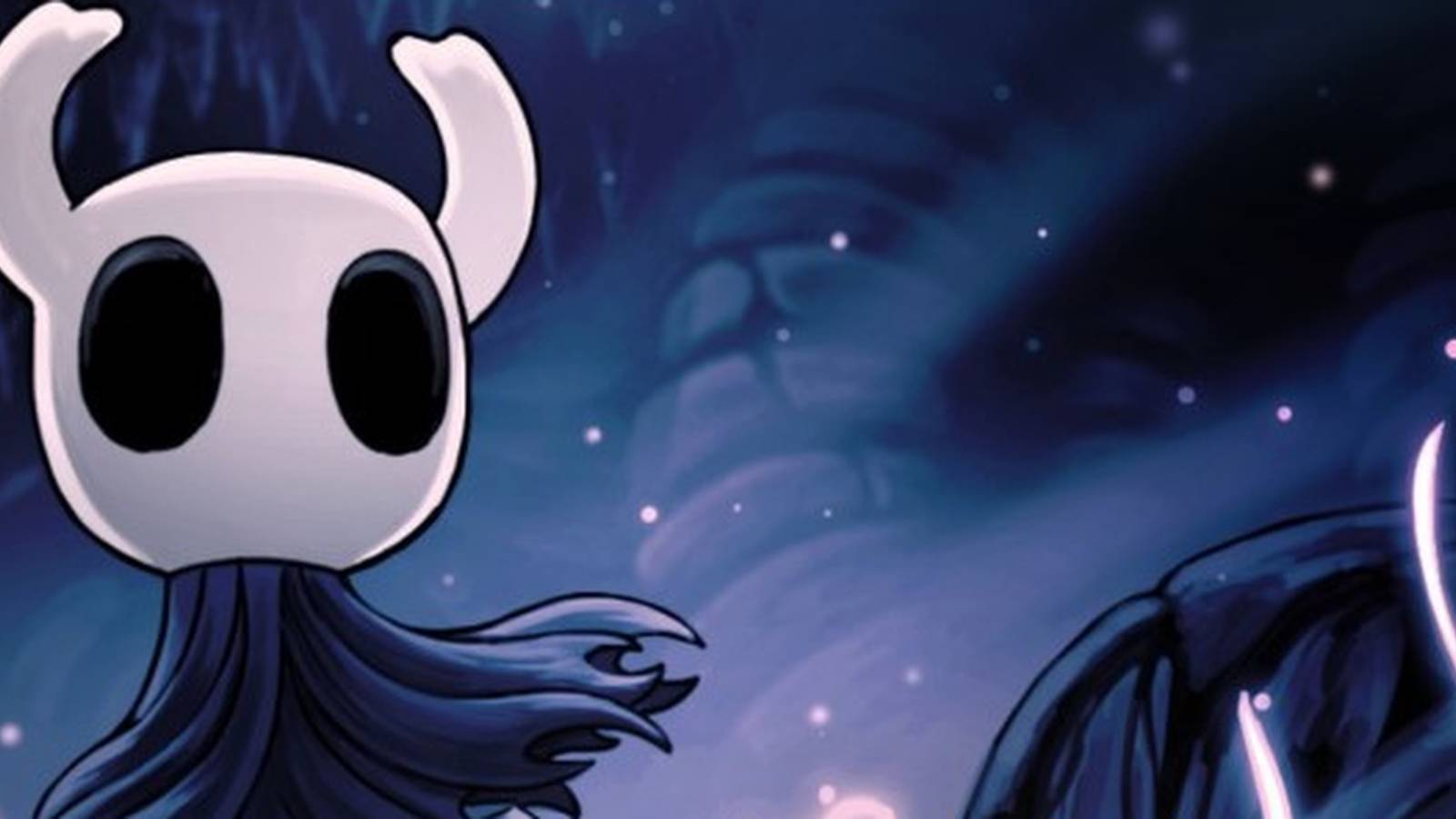 Hollow Knight Knight picture