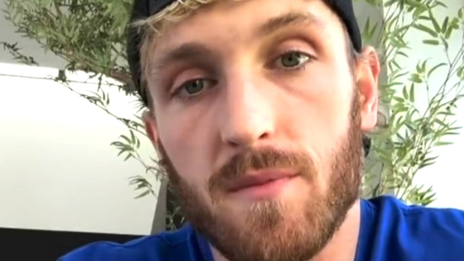 logan paul apology twitter video