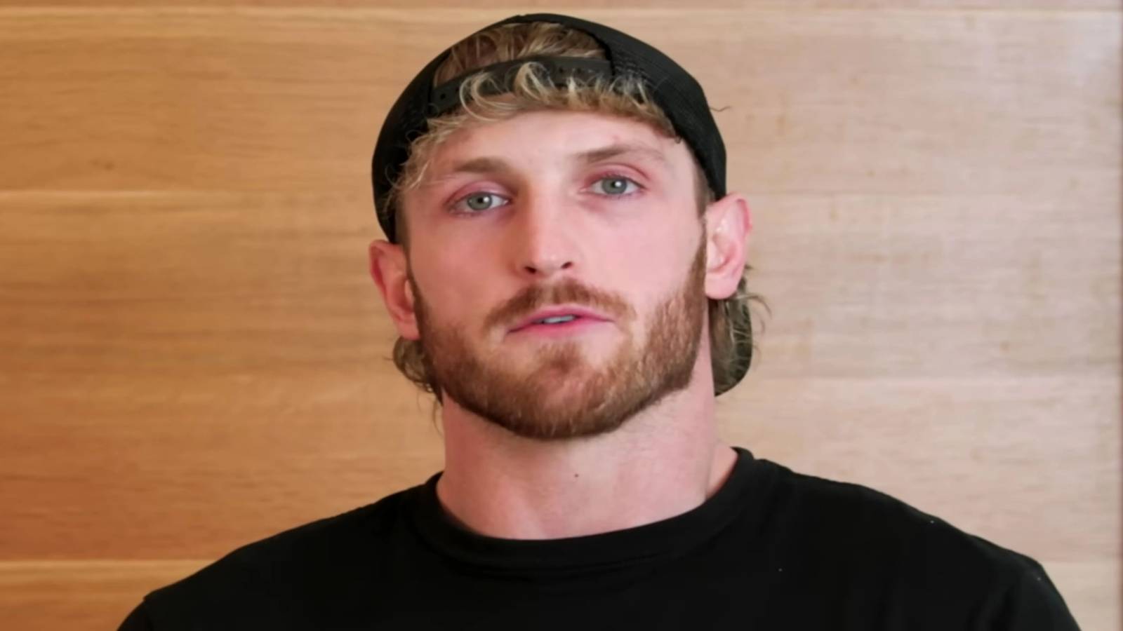 logan-paul-cryptozoo