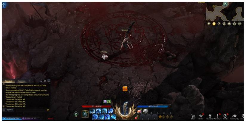 a Glaivier and her pet in Lost Ark