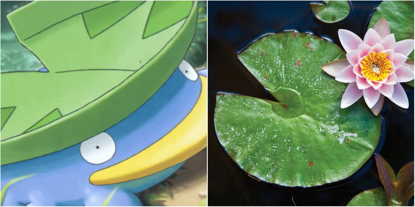 lotad and lilypads