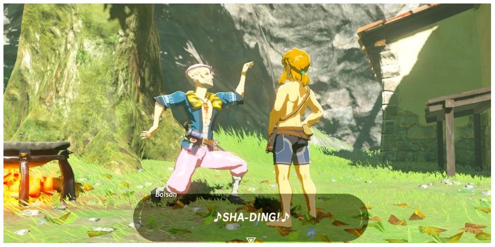 Link talking to Bolson in The Legend of Zelda: Breath of the Wild