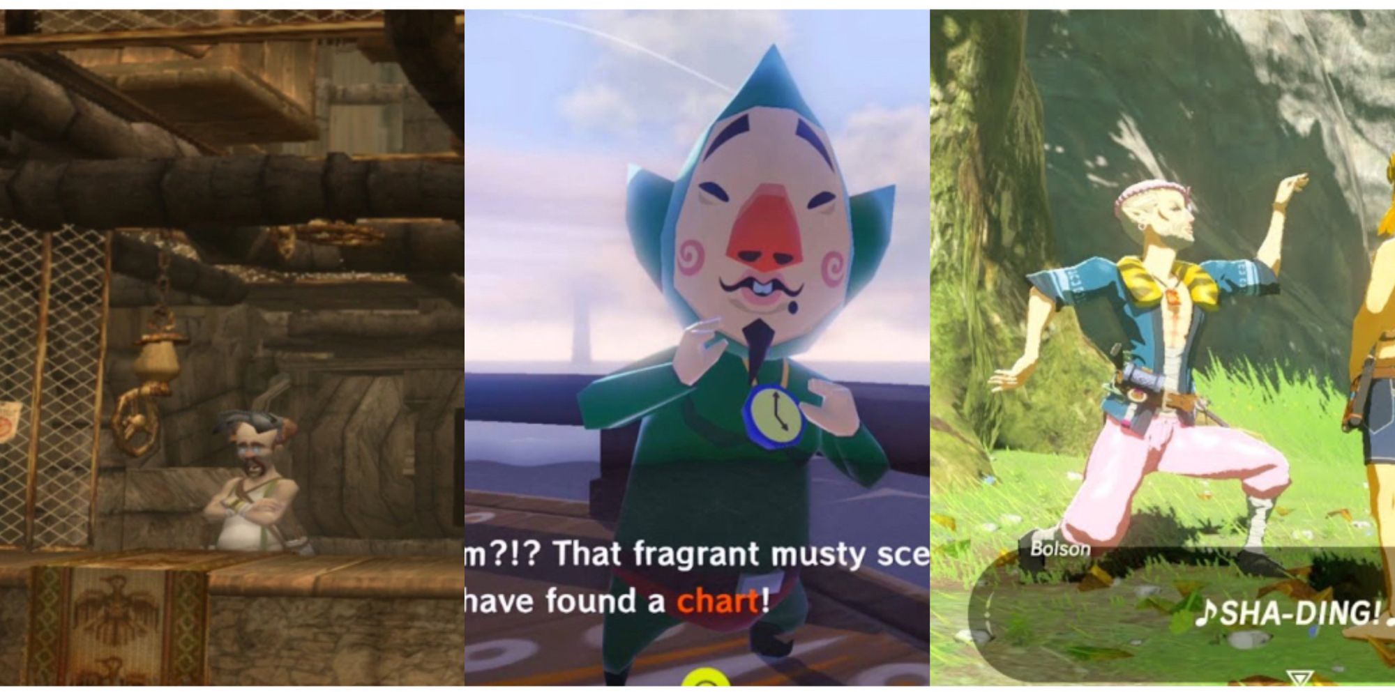 split image of Barnes, Tingle, and Bolson from The Legend of Zelda franchise