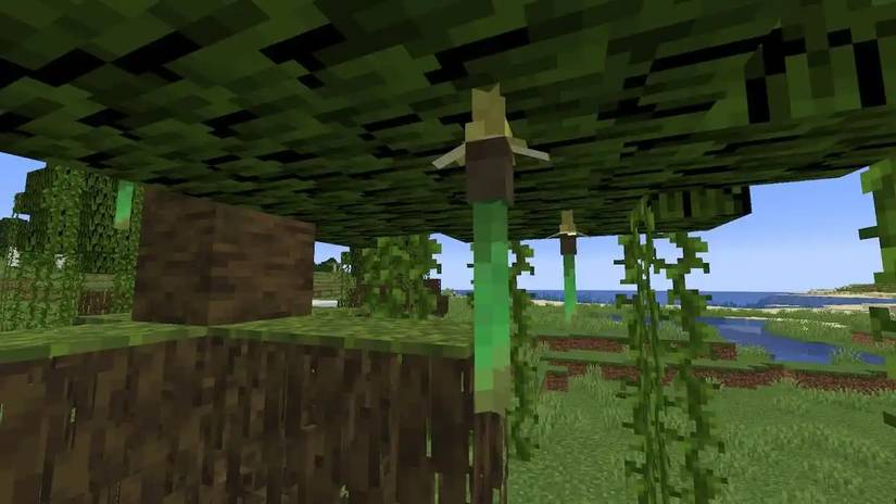 minecraft how to get propagules