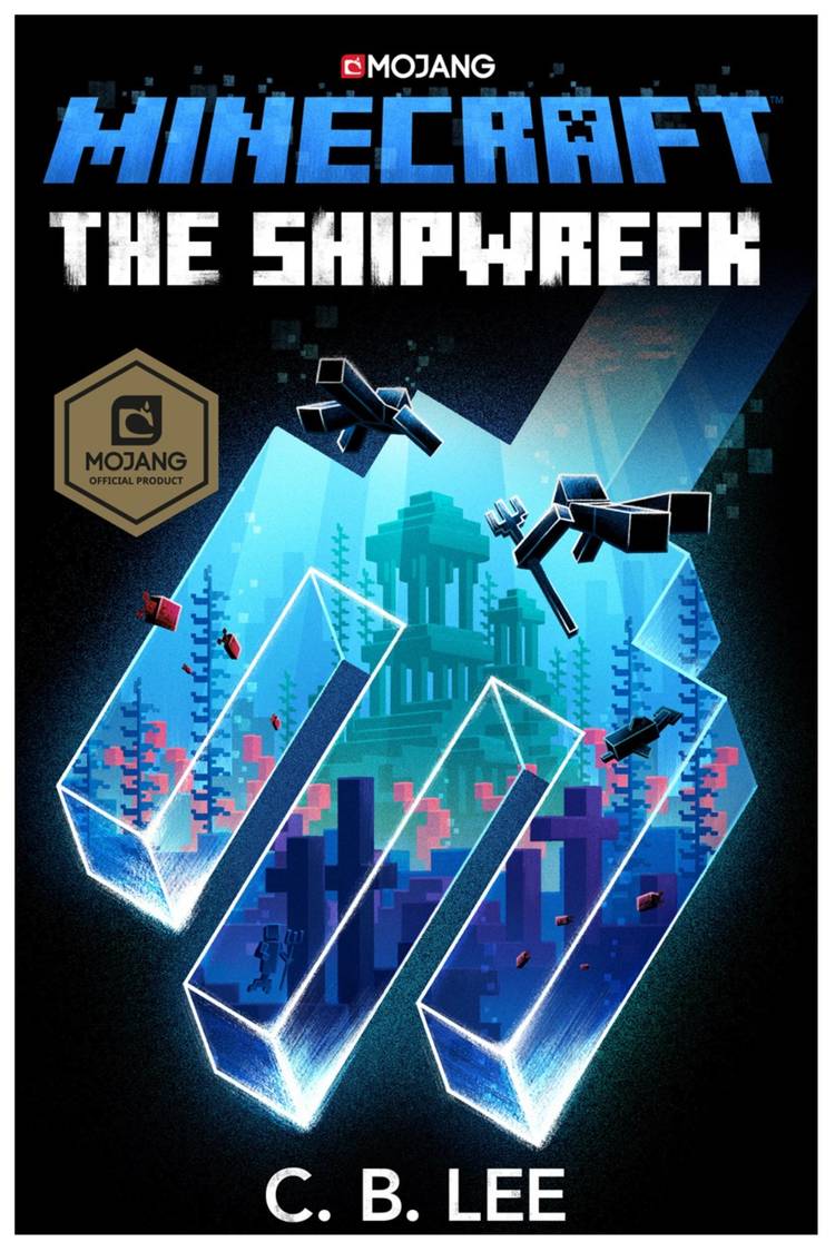 minecraft the shipwreck