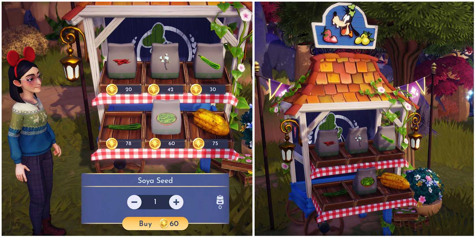 how to obtain soya and soya seeds