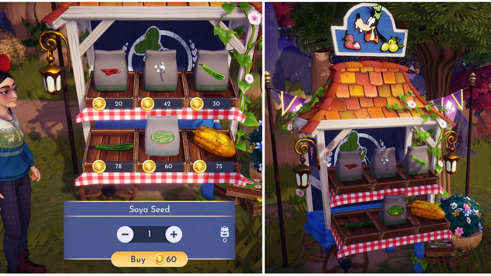 how to obtain soya and soya seeds