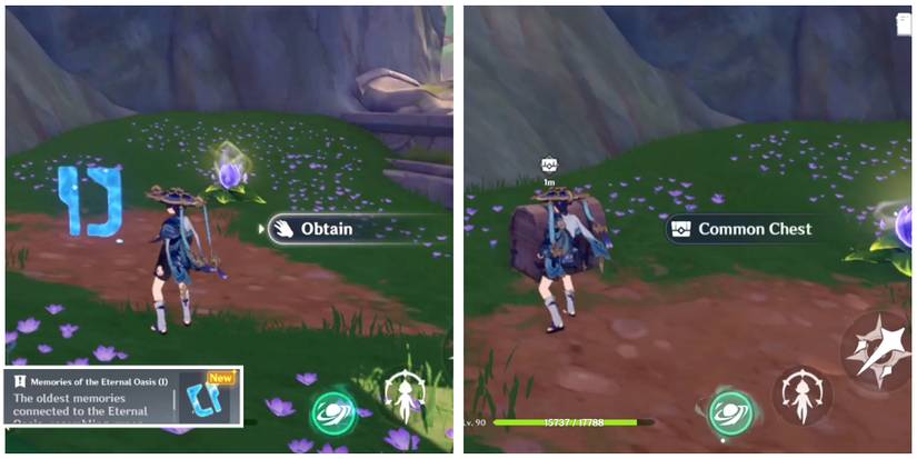 obtaining the memories of the eternal oasis I in genshin impact