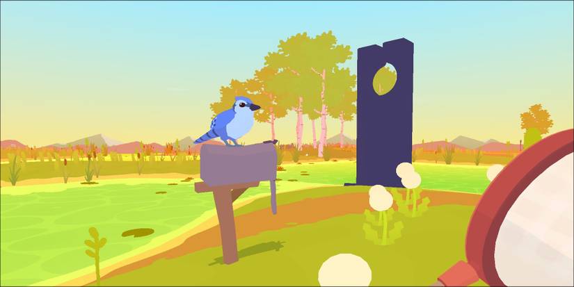 Paradise Marsh Blue Bird Location