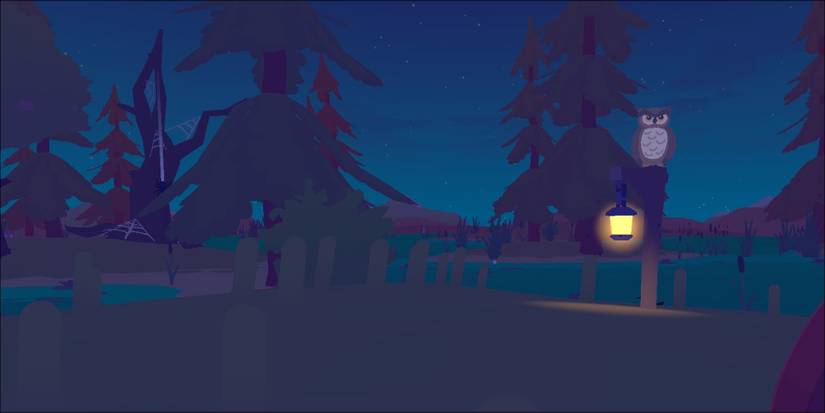 Paradise Marsh Owl Location