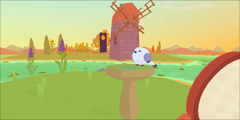 Paradise Marsh White Bird Location