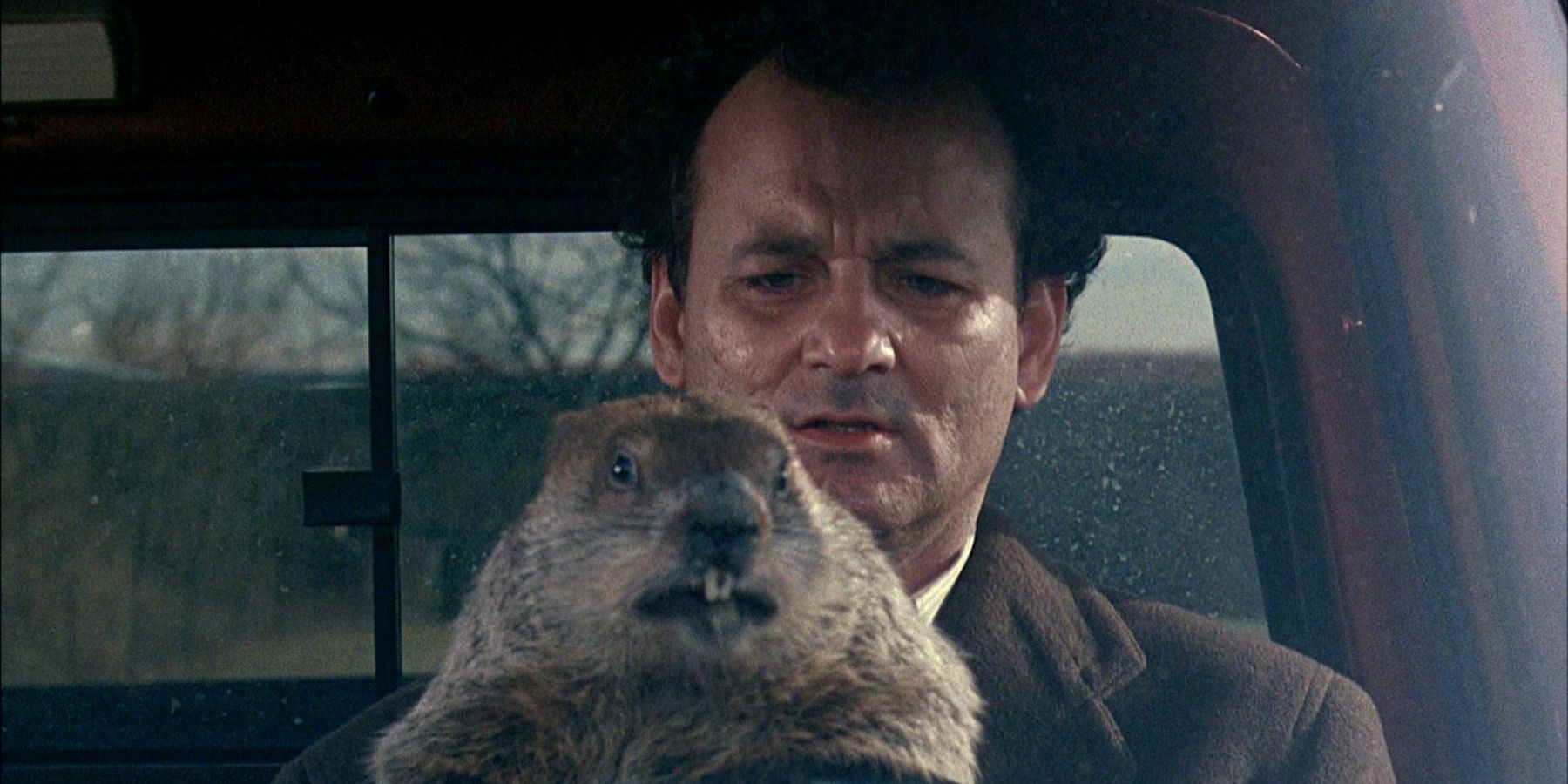 Phil and Groundhog