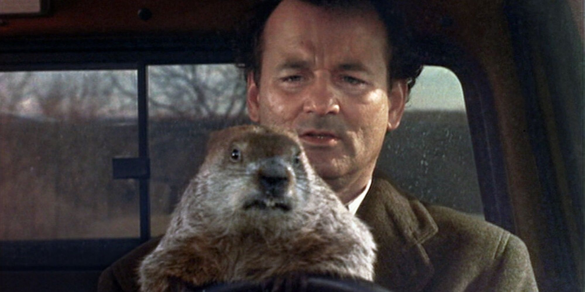 Phil with a groundhog in Groundhog Day
