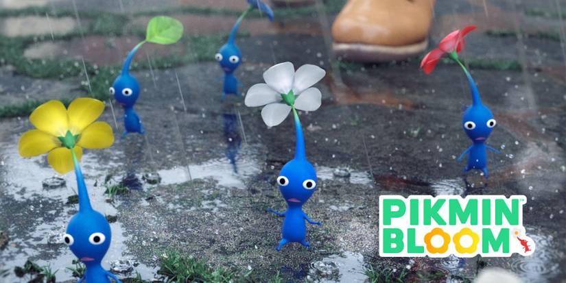 Pikmin Bloom Rainy Day