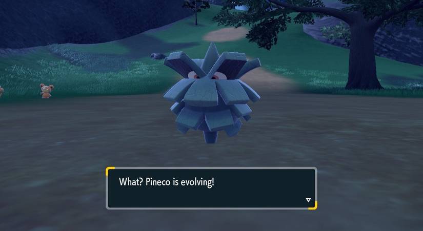 pineco evolving