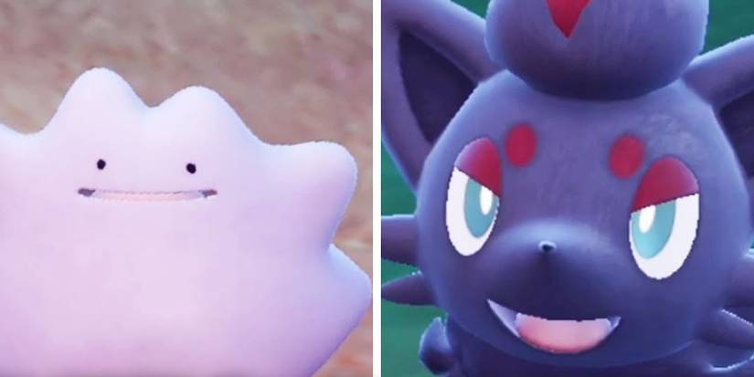 Pokemon Hard To Find Ditto Zorua