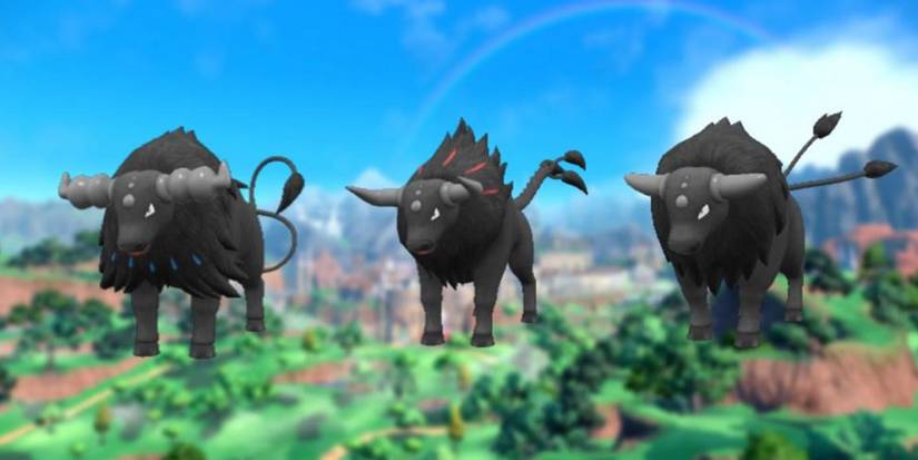 Pokemon Hard To Find Tauros Paldea