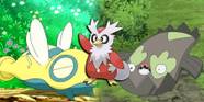 Most Useless Pokemon
