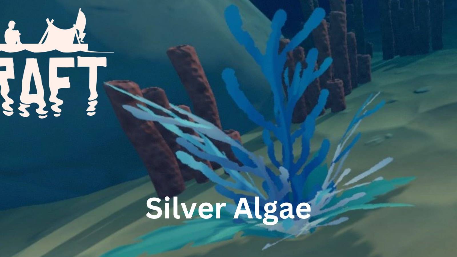 raft all, silver algae locations and uses