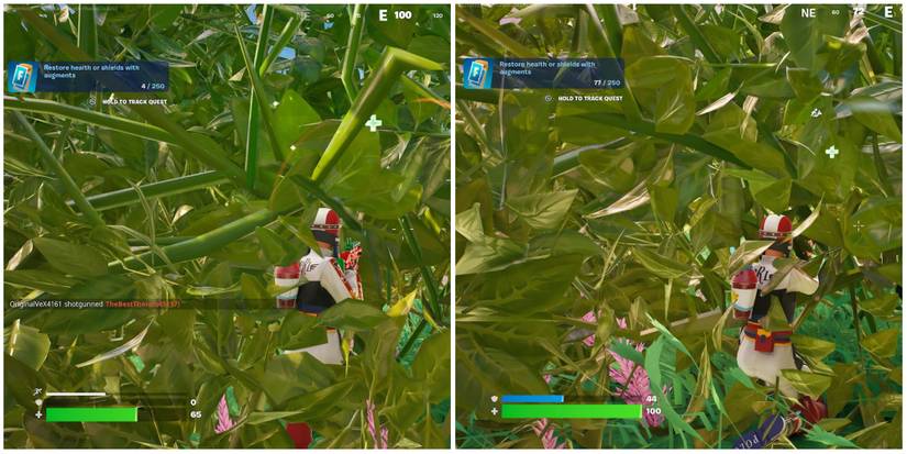 restoring health inside a bush