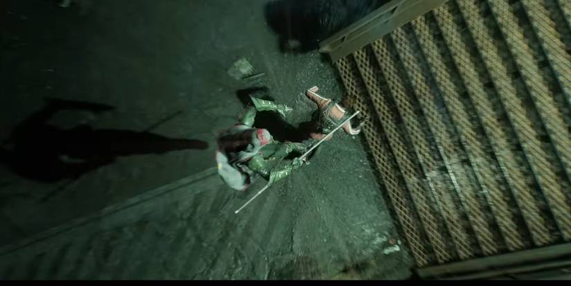 Robin attacking from above