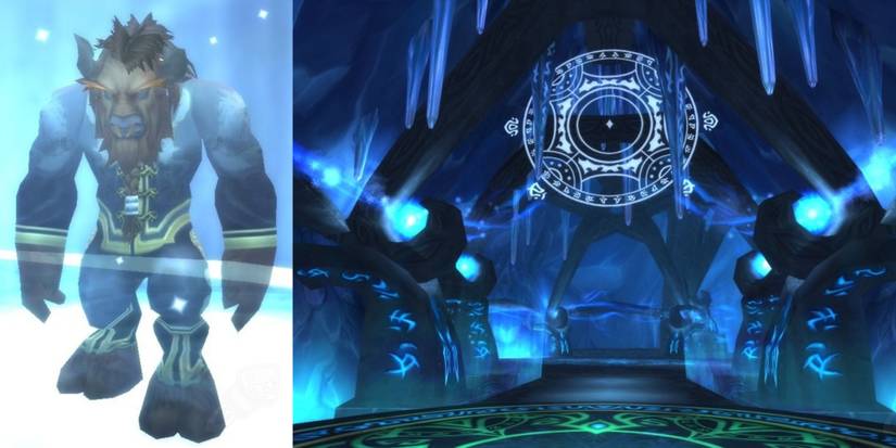 split image elder nexus