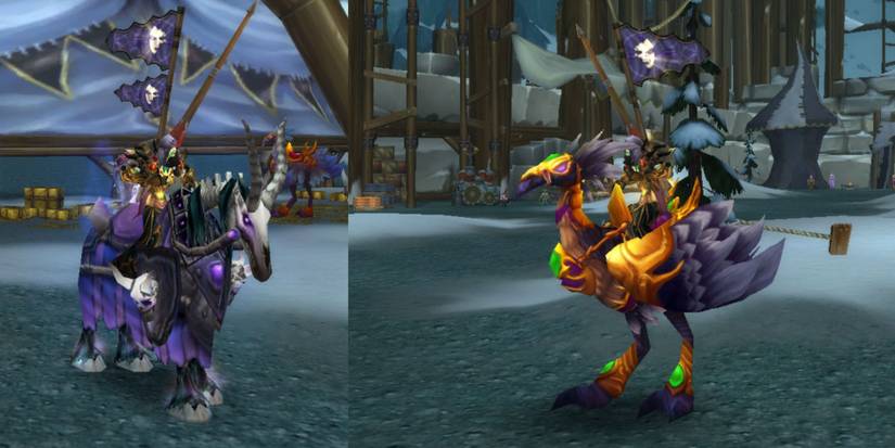 split image hawkstrider forsaken warhorse argent tournament wow