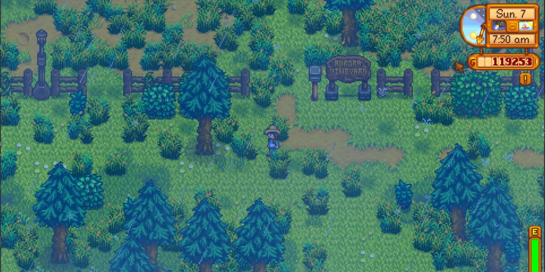 Stardew valley expanded aurora vineyard