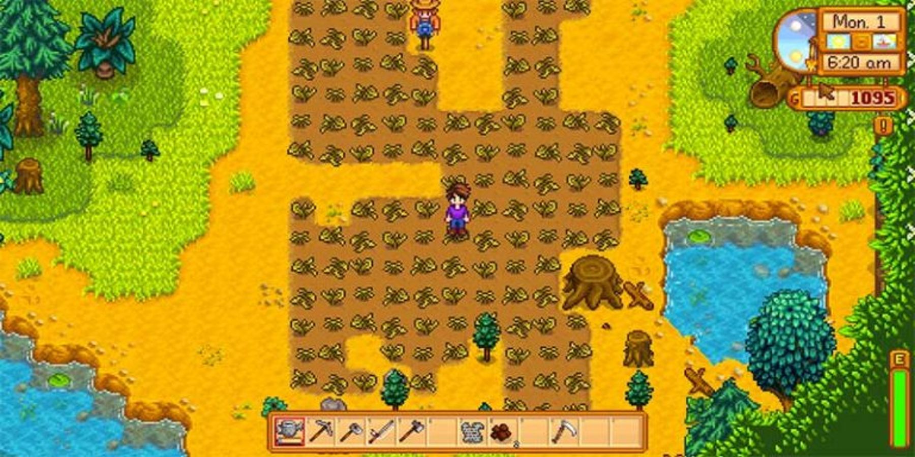 Stardew Valley Unwritten Rules