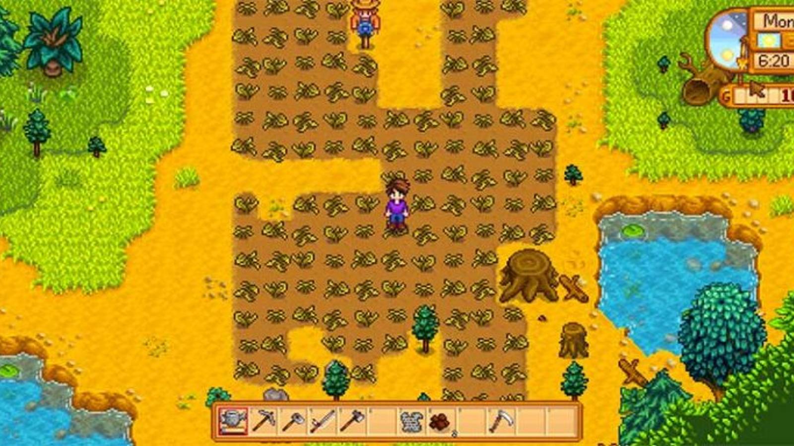 Stardew Valley Unwritten Rules