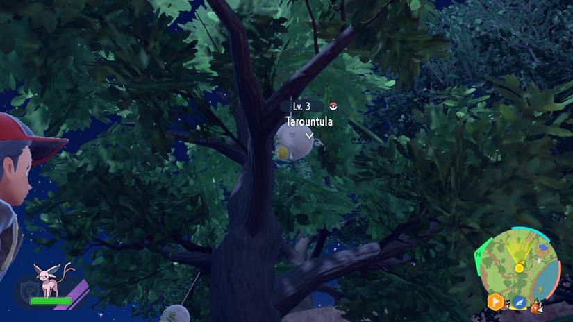 tarountula pokemon scarlet violet tree