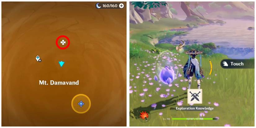 the first flower bud location in genshin impact