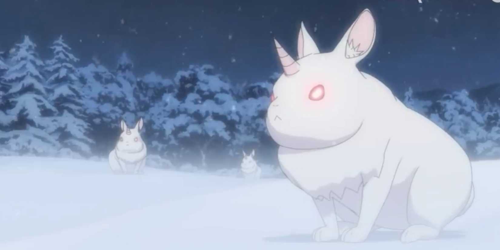 Holy Rabit Best Anime Rabbits