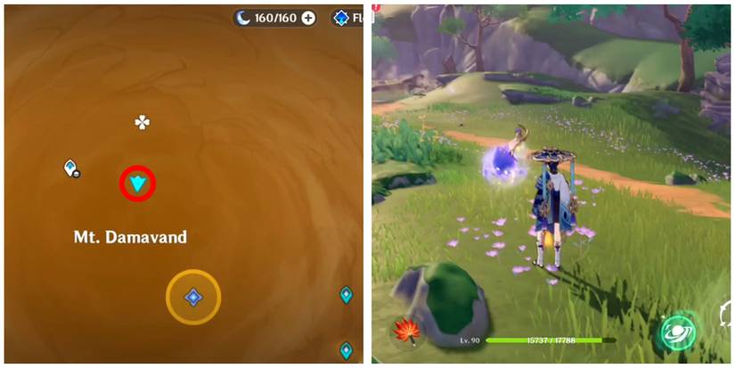 the second flower bud location in genshin impact