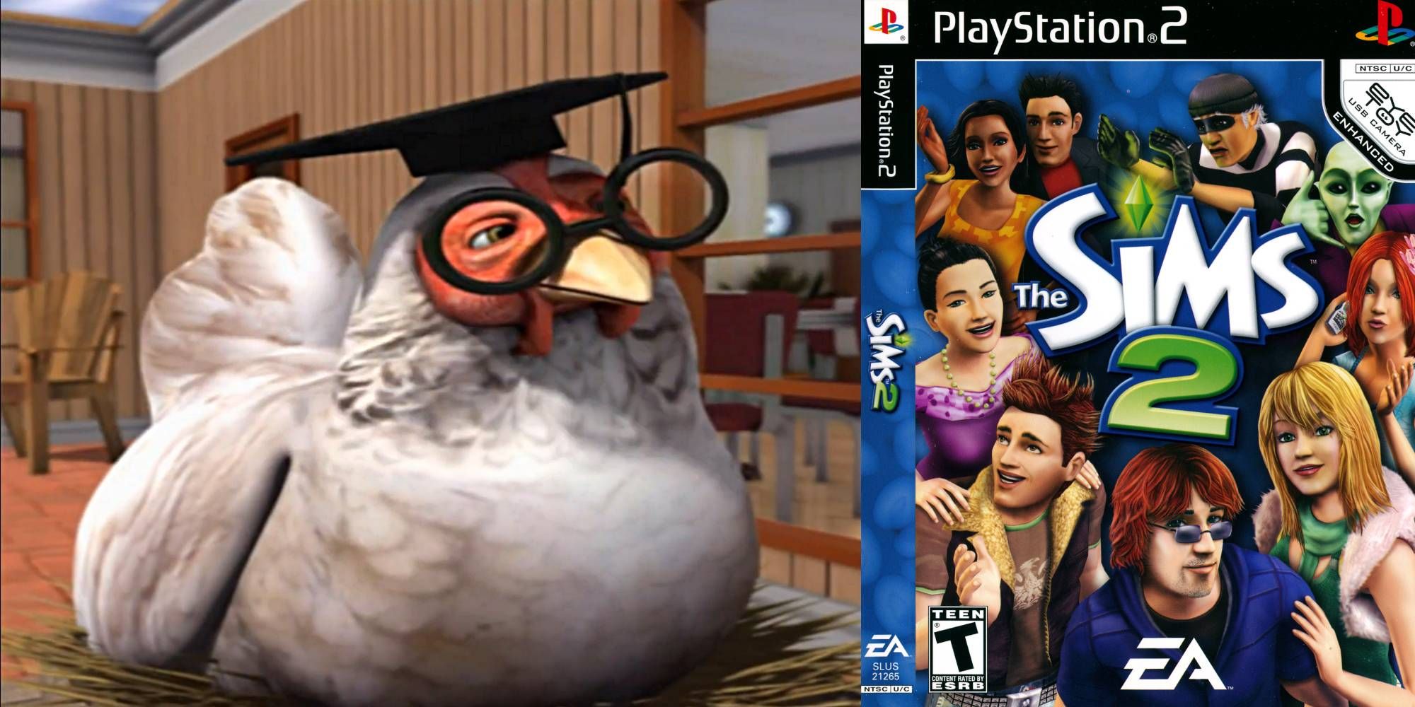 The Sims 2 cover art next to the chess playing chicken featured in game