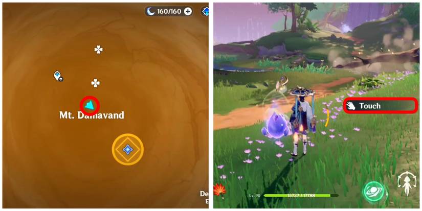 the third flower bud location in genshin impact