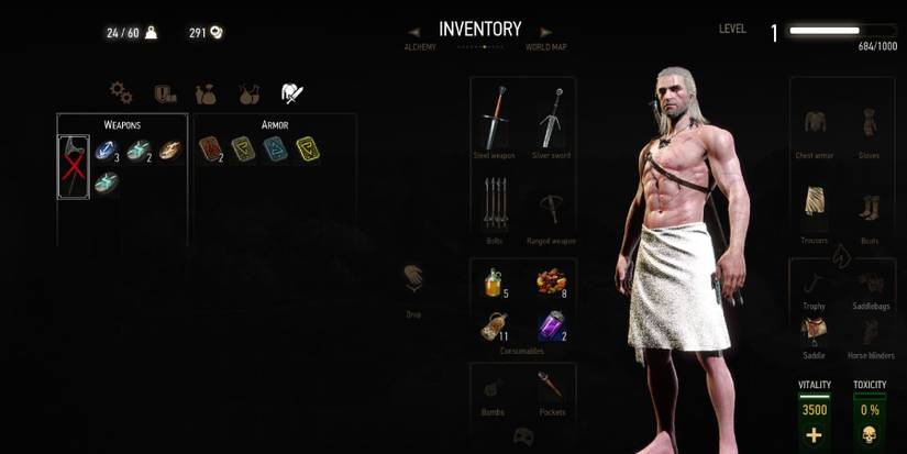 the witcher 3 wild hunt geralt bathrobe loadout
