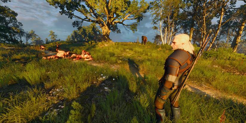 The Witcher 3_ Wild Hunt_20221214024729
