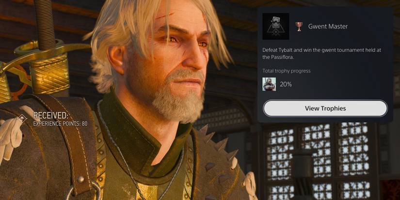 The Witcher 3_ Wild Hunt_20221218085746