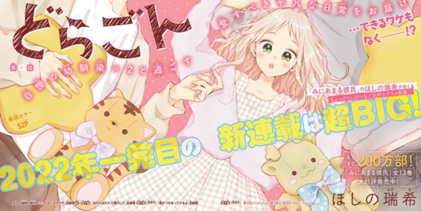 Official artwork of Konomi from Tiger & Dragon