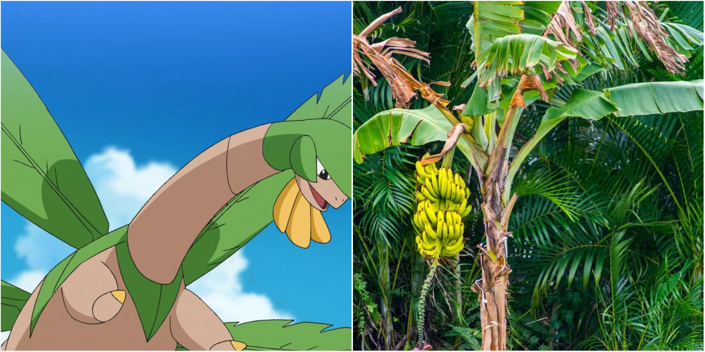 tropius and banana tree
