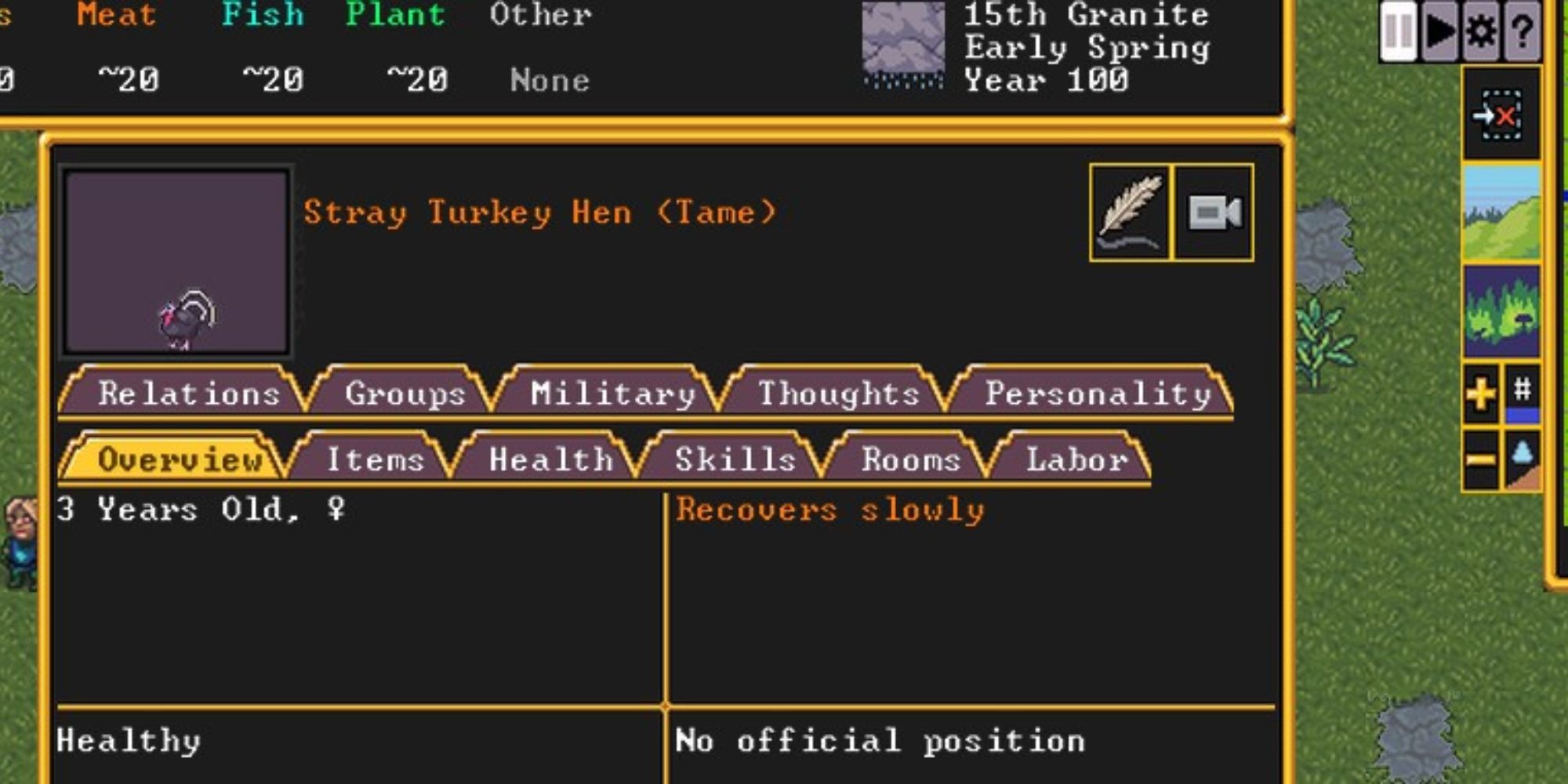 Dwarf Fortress Turkeys