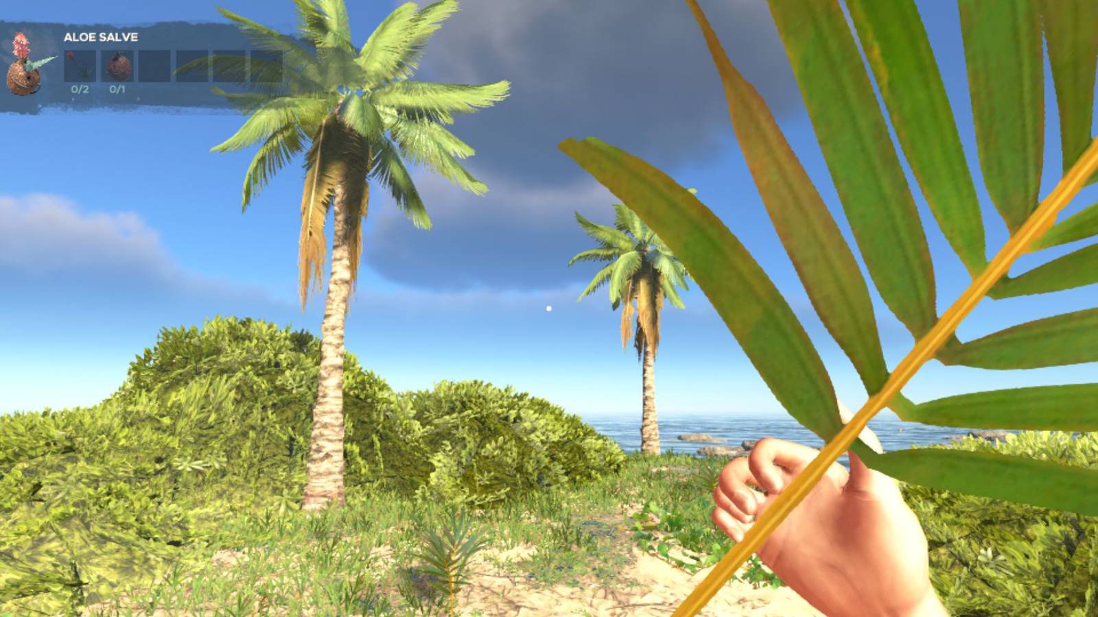 Palm Frond In Stranded Deep