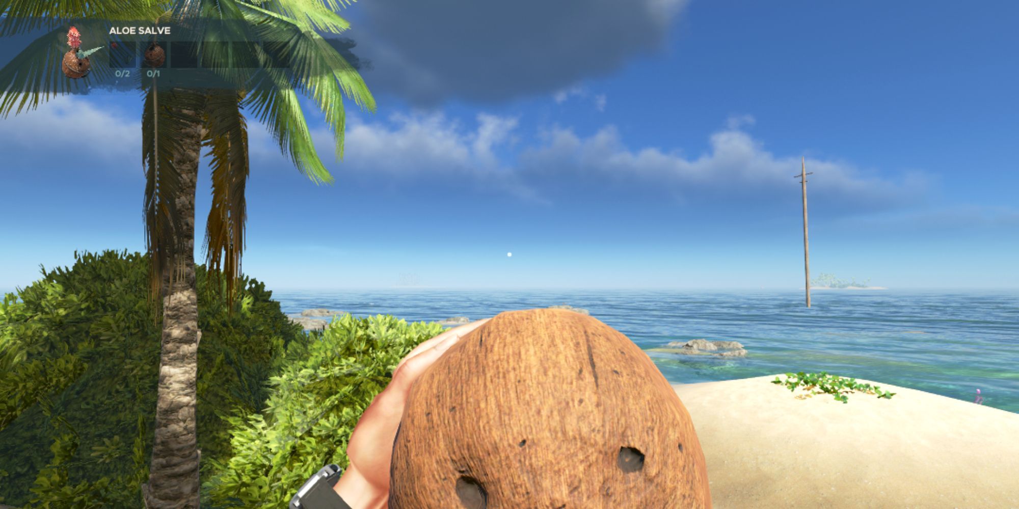 Coconut flask Stranded Deep