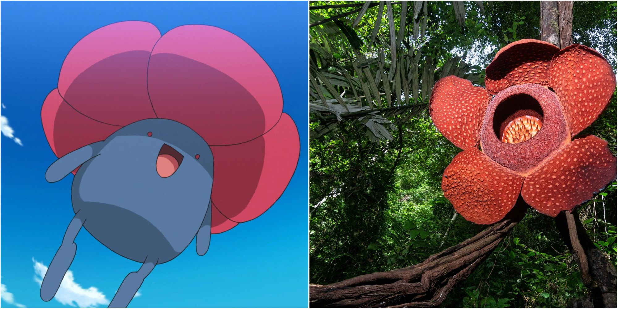 Two way split grid of Vileplume and a Rafflesia plant