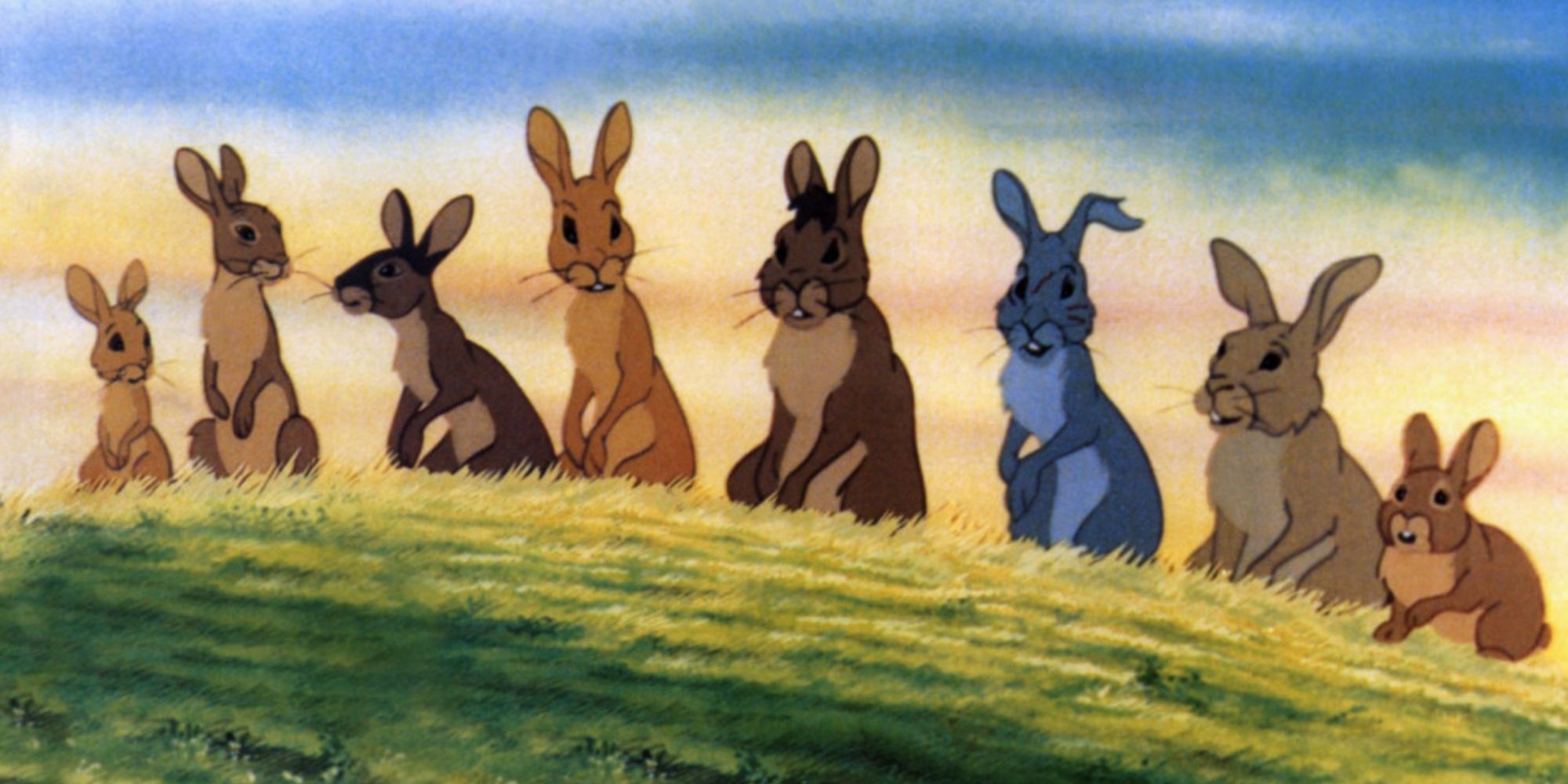 Best Movies That Feature Rabbits